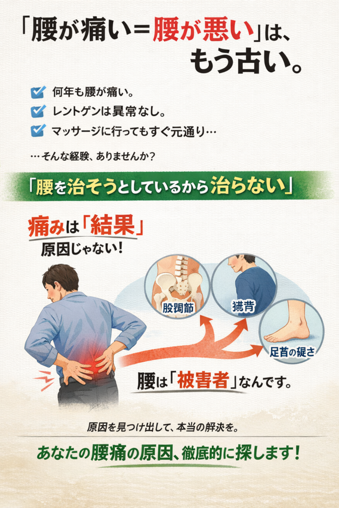 腰痛の原因は腰じゃない？宇都宮のほさか整骨院が教える本当の原因